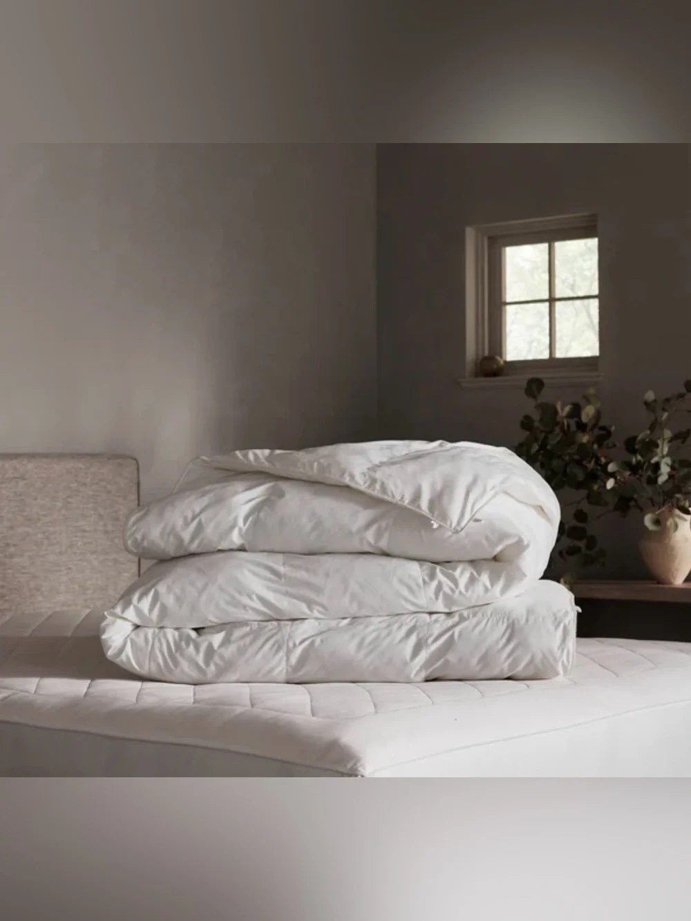 Cozy Earth Lightweight Down Alternative Comforter King/Cal King New
